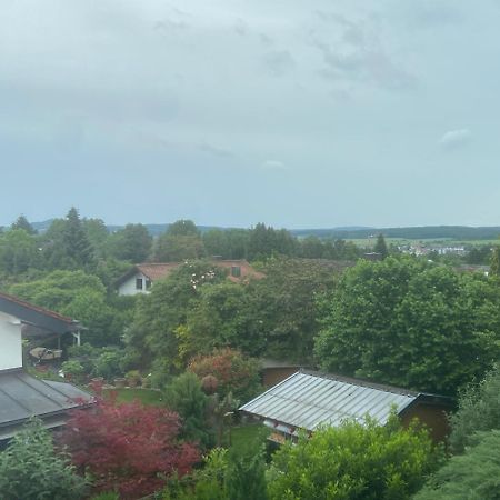 Gemuetliche Wohnung In Stadtnaehe Sinsheim Exterior foto